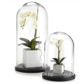 Cúpula de tarro de campana de vidrio transparente con flor